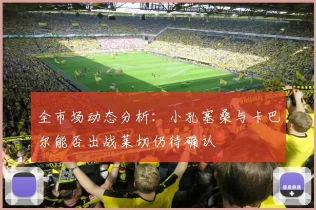 全市场动态分析：小孔塞桑与卡巴尔能否出战莱切仍待确认