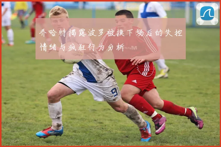乔哈特揭露波罗被换下场后的失控情绪与疯狂行为分析