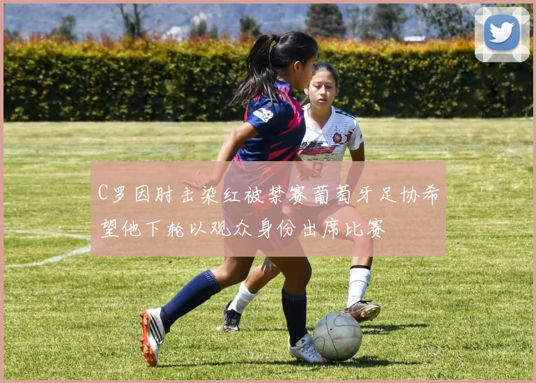 C罗因肘击染红被禁赛葡萄牙足协希望他下轮以观众身份出席比赛