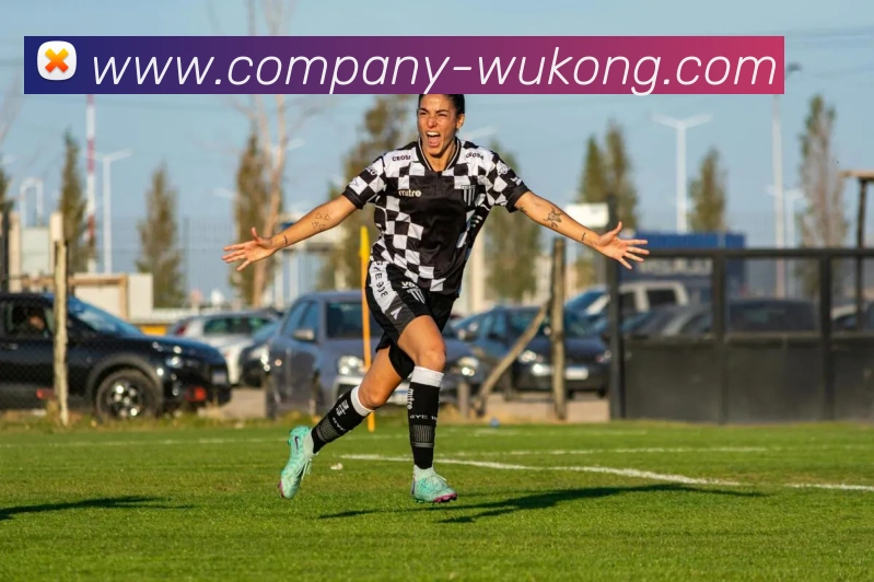 悟空体育服务体系